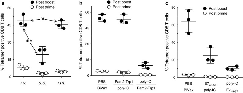 Fig. 7