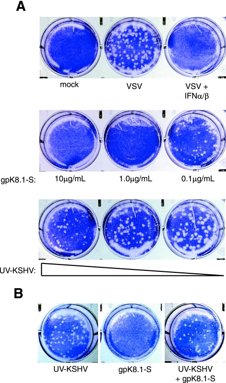 FIG. 6.