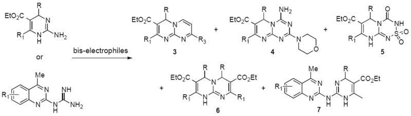 Scheme 1