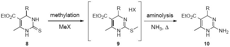 Scheme 2