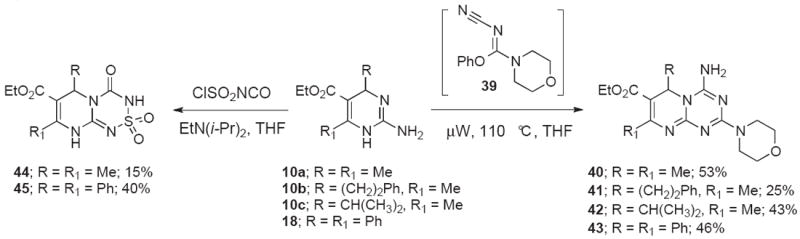 Scheme 8