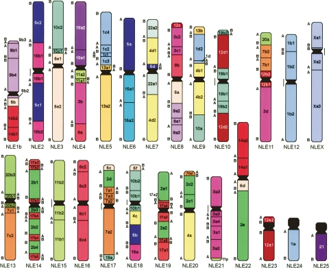 Figure 4.