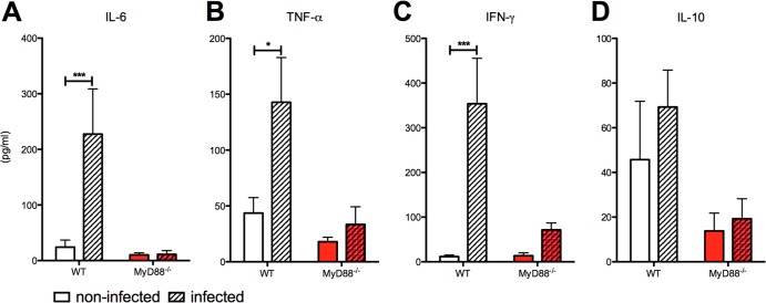 FIG 5