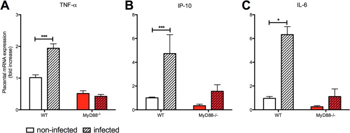 FIG 6