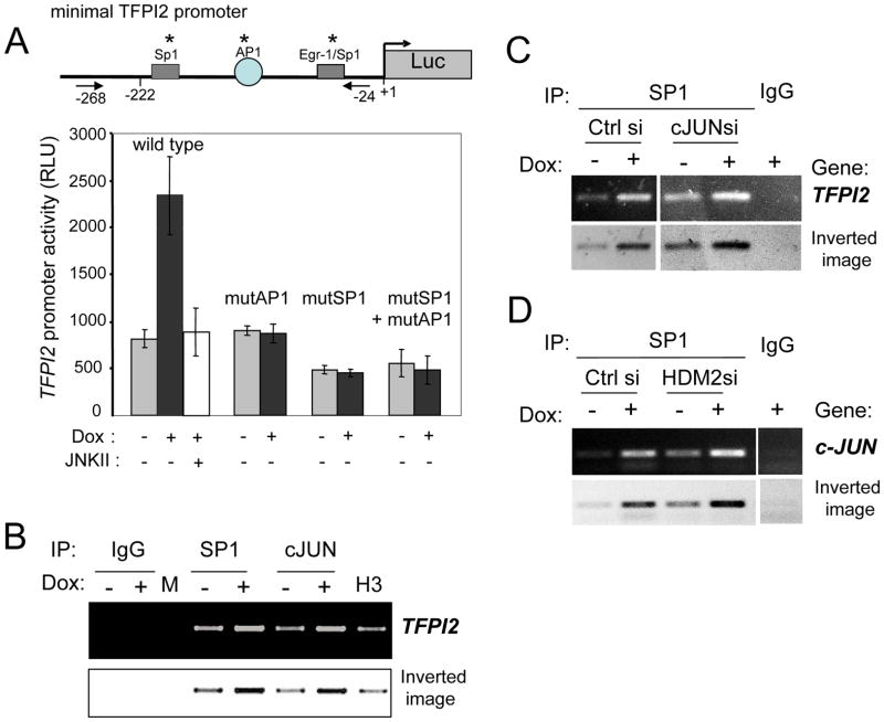 Fig 4