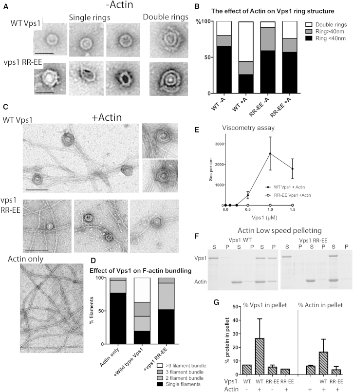 Figure 5