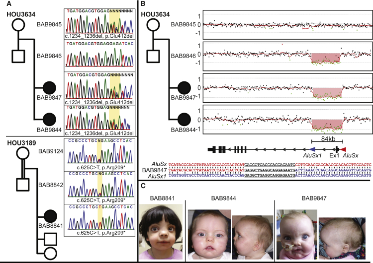 Figure 3