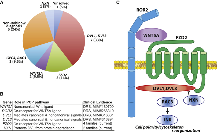 Figure 4