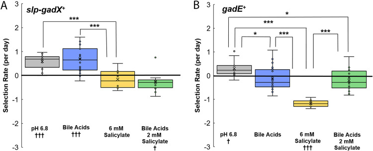 FIG 6