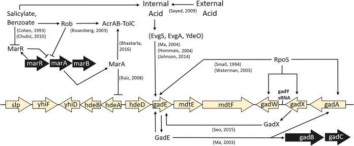 FIG 1