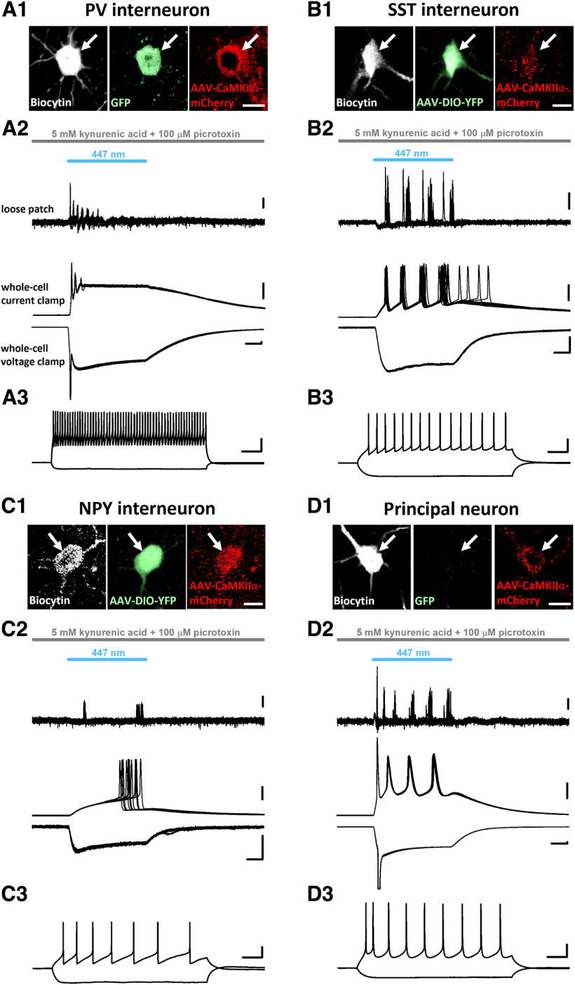 Figure 3.