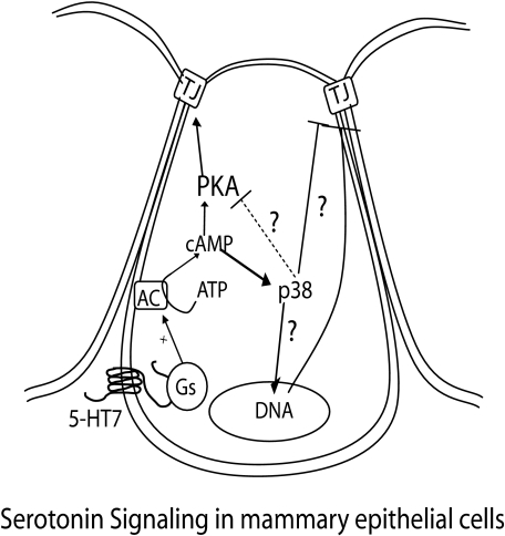 FIGURE 9.