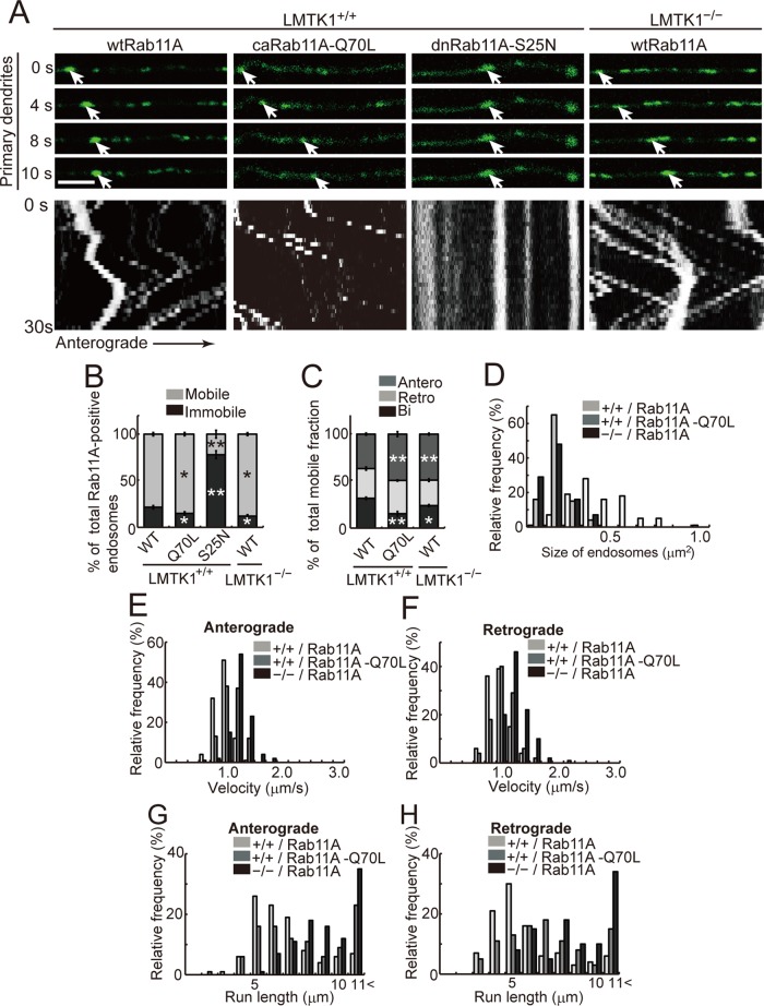 FIGURE 6: