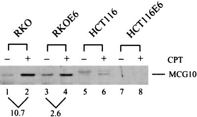 FIG. 10