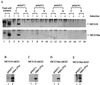 FIG. 9