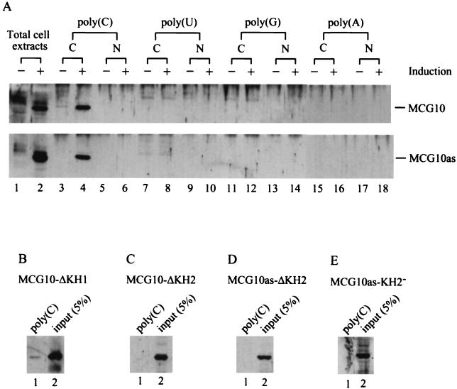 FIG. 9