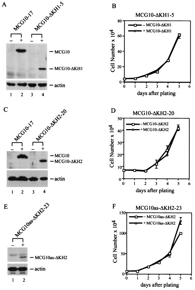 FIG. 8