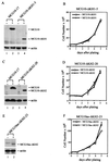 FIG. 8