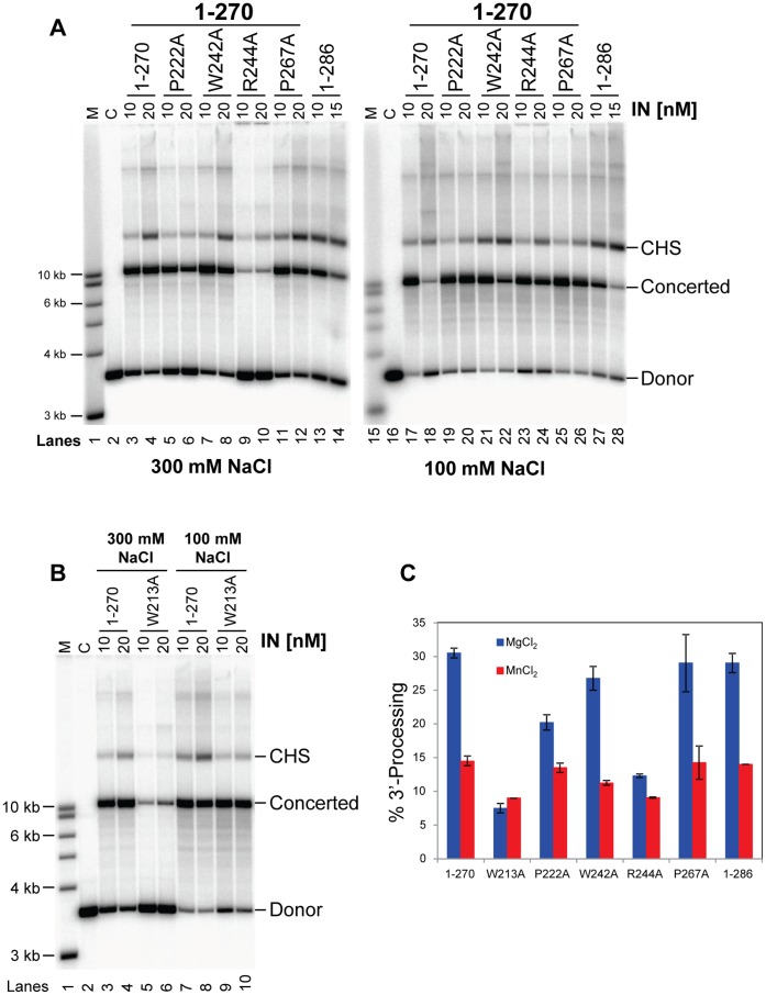 Figure 7