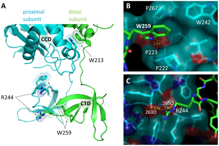 Figure 5