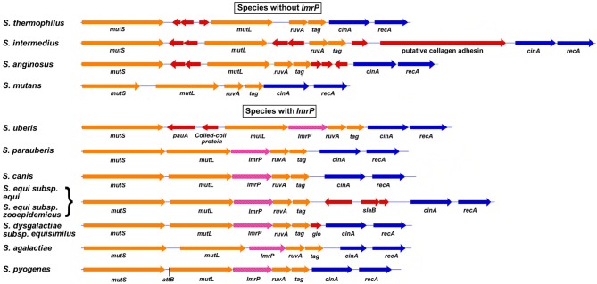 Figure 5