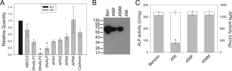 FIG 4