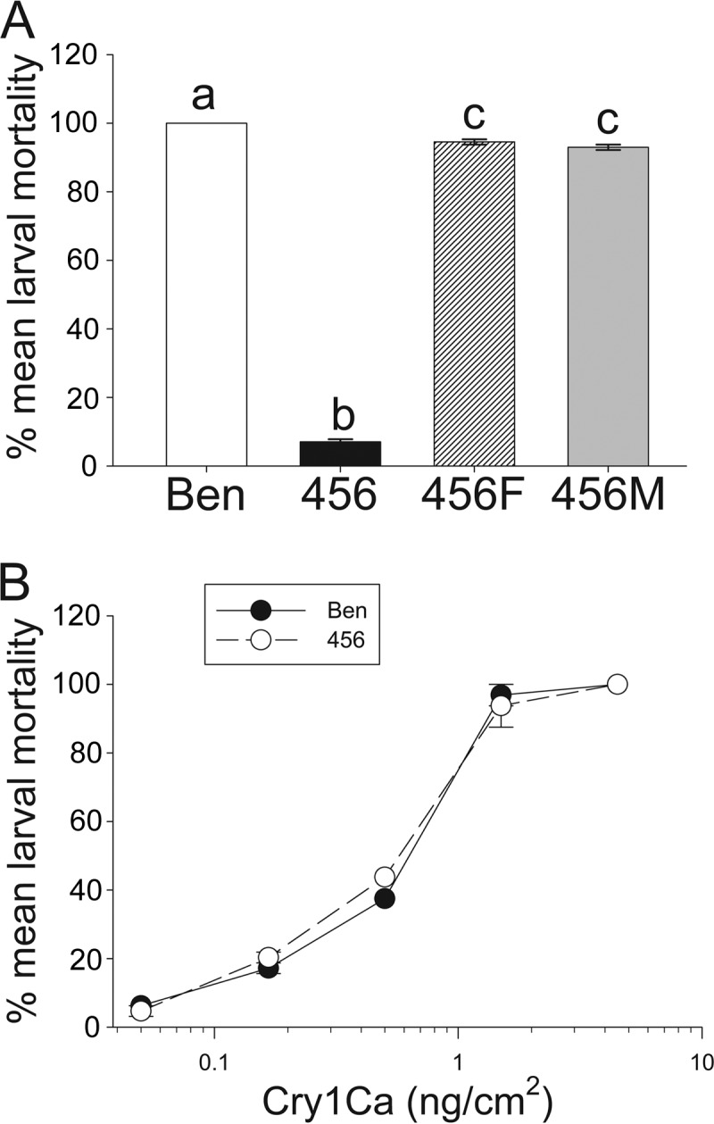 FIG 1