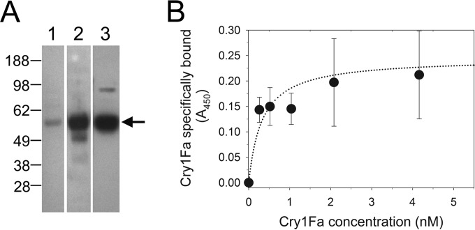 FIG 5