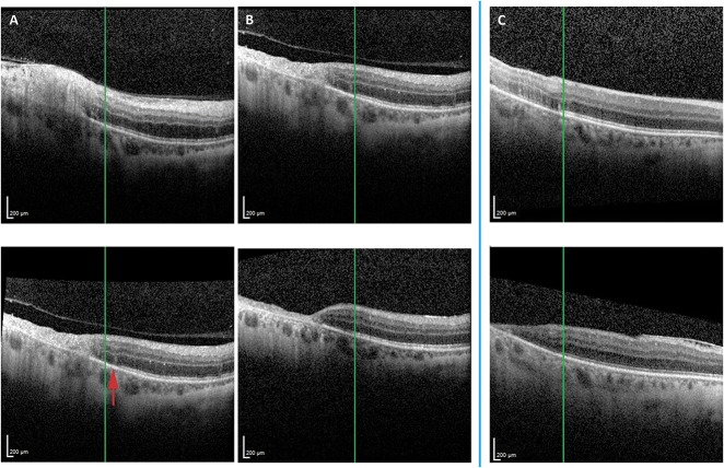 Fig. 4.