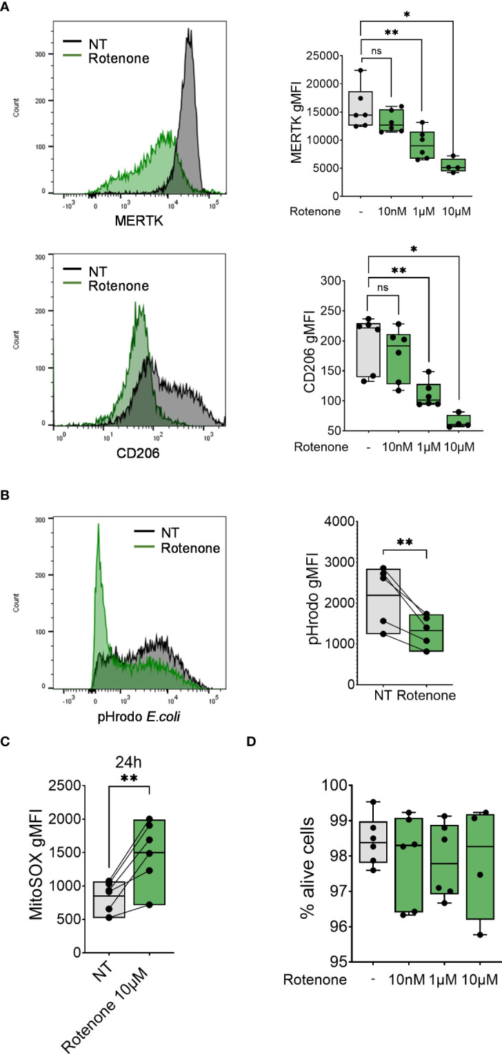 Figure 4