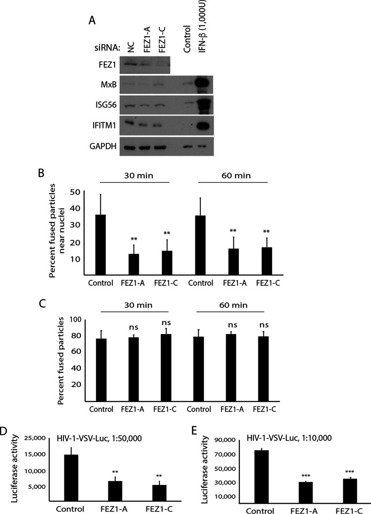 FIG 4