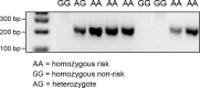 Fig 5