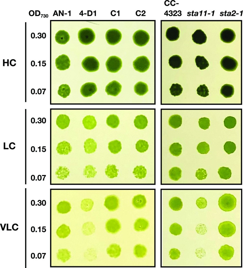 Figure 4.