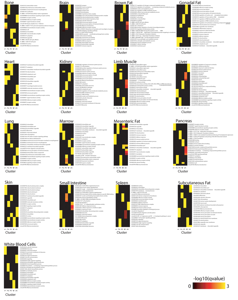 Extended Data Figure 6.