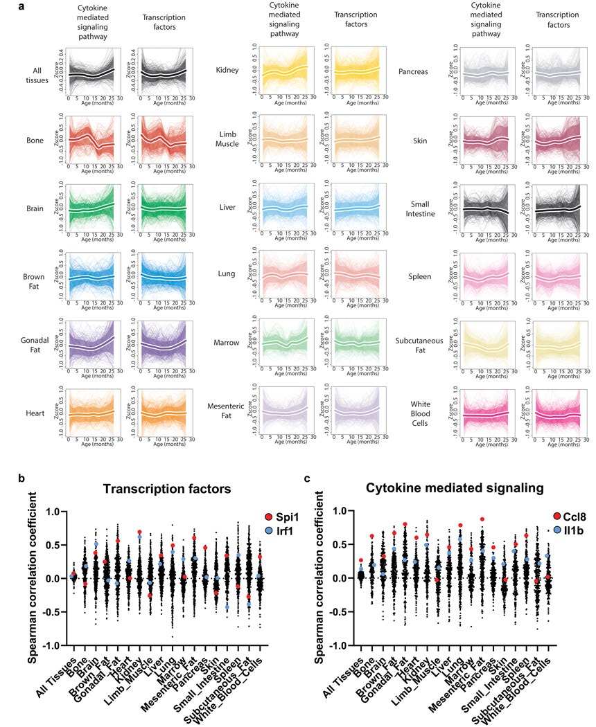 Extended Data Figure 7.