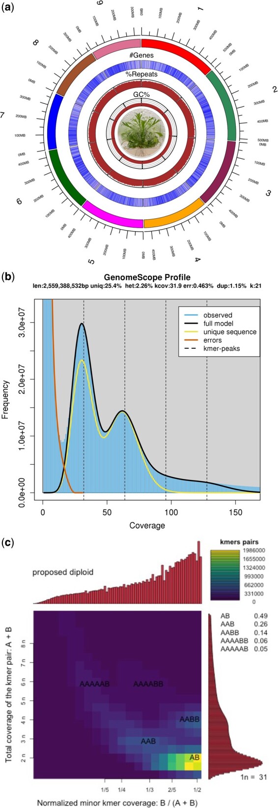 Fig. 3.