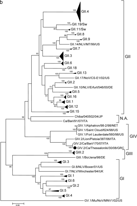 FIG. 1.