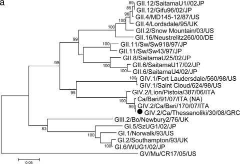 FIG. 1.