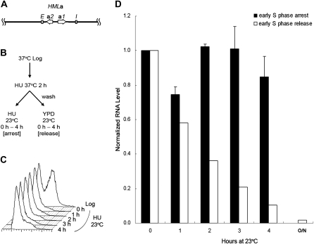 Figure 2.—