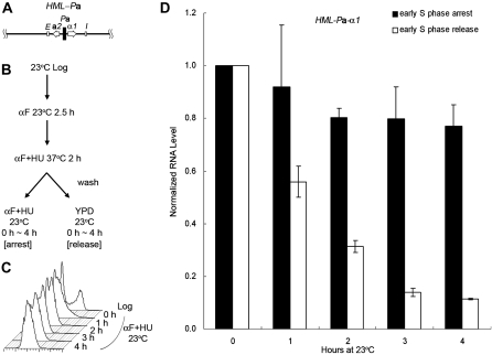 Figure 3.—