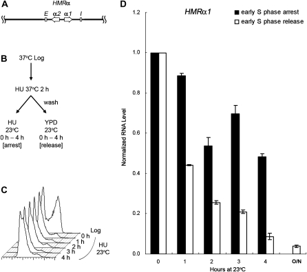 Figure 6.—