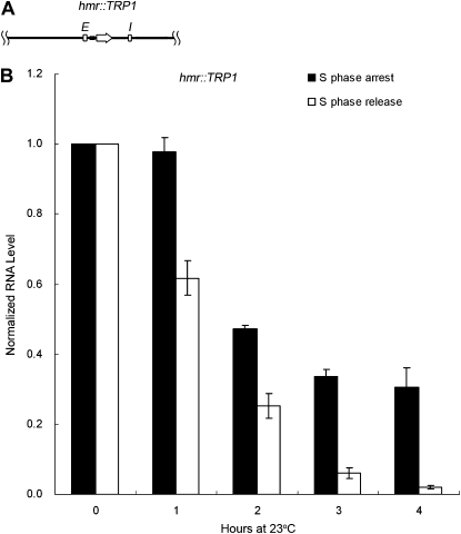 Figure 5.—