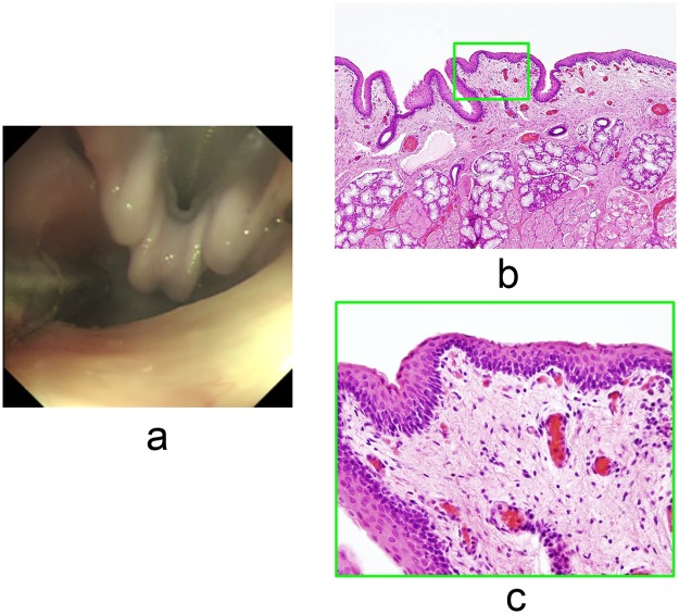 Fig 3