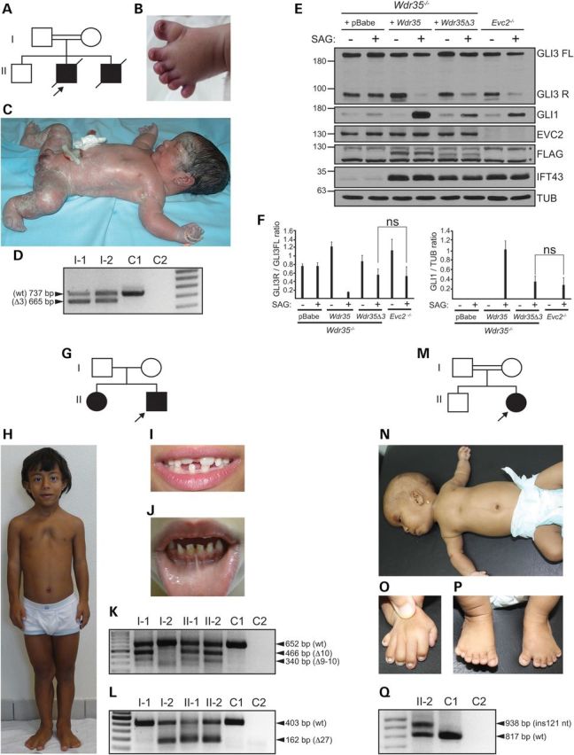 Figure 1.