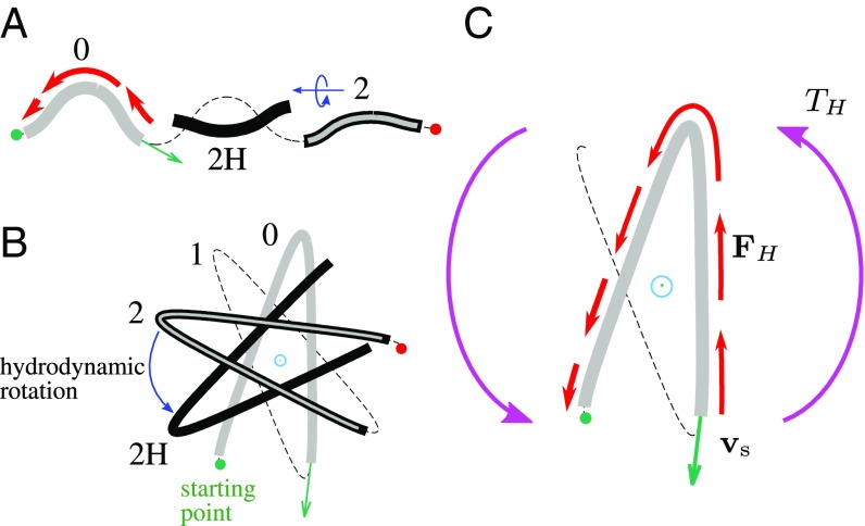 Fig. 11.