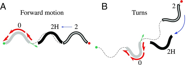 Fig. 10.