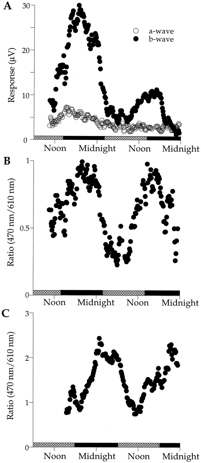 Fig. 3.