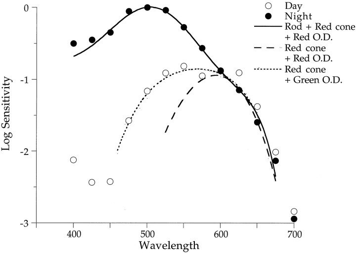 Fig. 10.