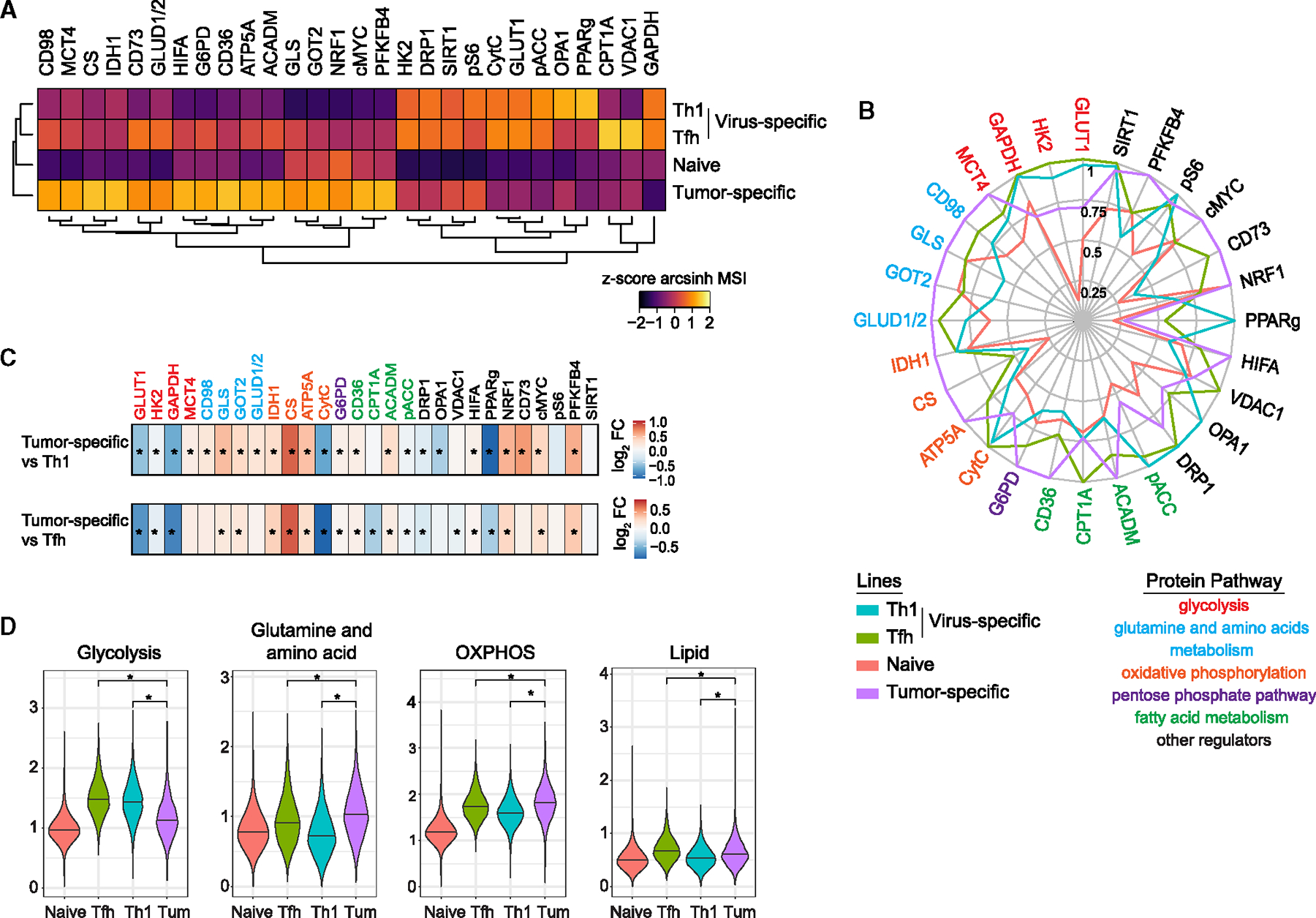 Molecular, Metabolic, And Functional Cd4 T Cell Paralysis In The Lymph 