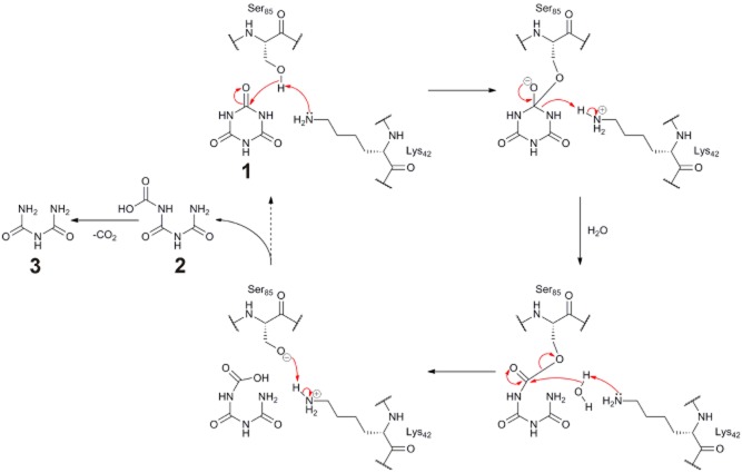 Fig. 9